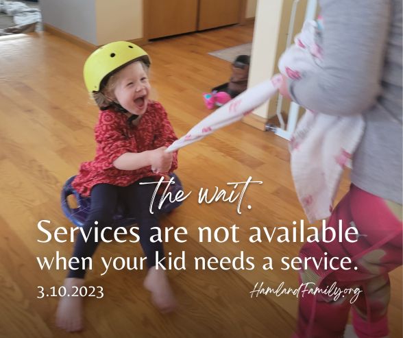 the wait. Services are not available when your kid needs a service.