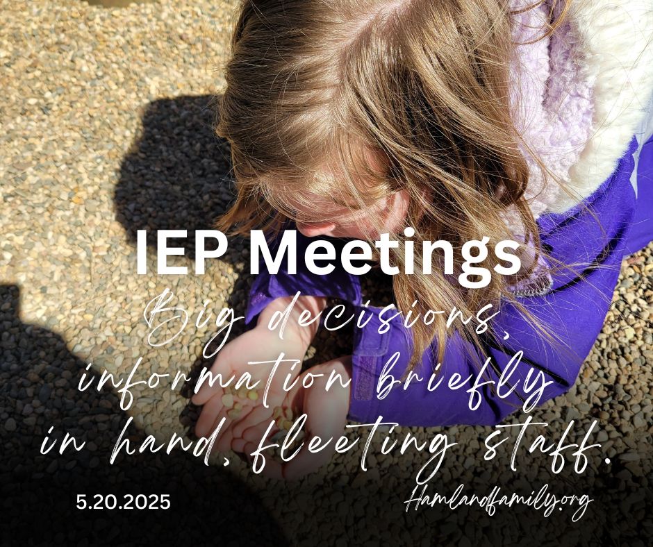 IEP Meetings: Big decisions, information briefly in hand, fleeting staff.